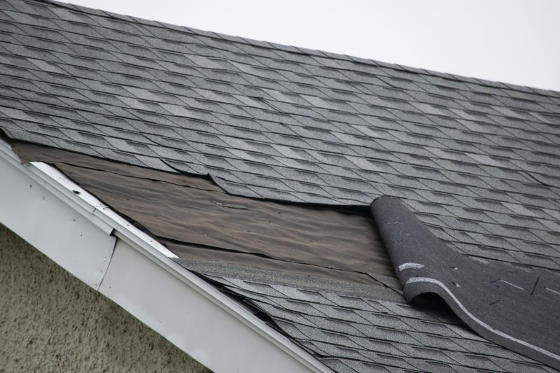 Asphalt Roof Leak Repair