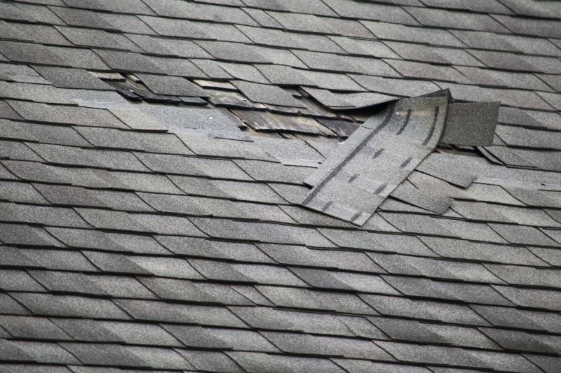 Cracked Shingle Repair