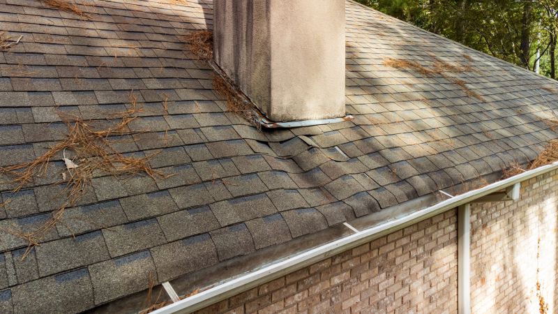 Gutter Maintenance