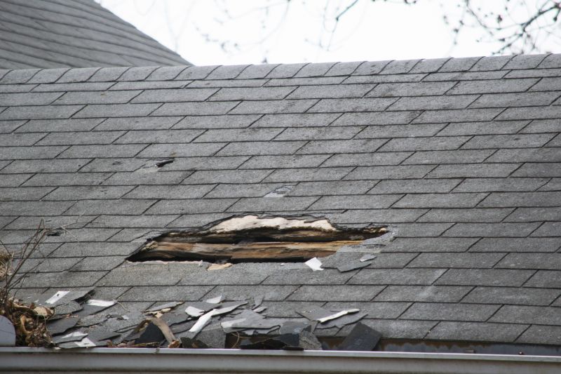 Roof Leak Detection Service