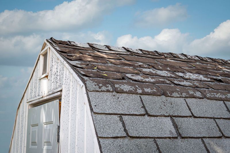 Roof Repair